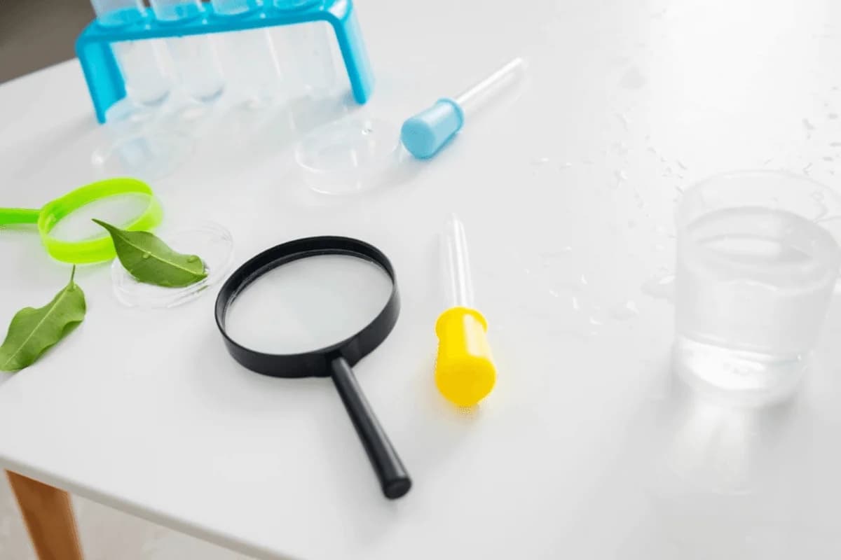 Lab Test at Home Cost in Dubai: What You Need to Know — Siza Health Care blog