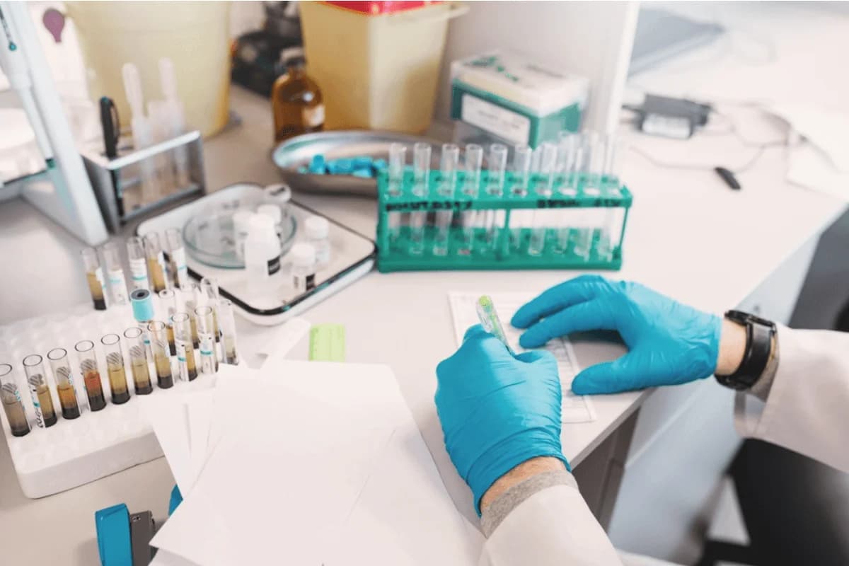 Book Lab Test Online in Dubai: A Complete Booking Guide — Siza Health Care blog